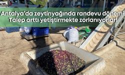Antalya’da zeytinyağında randevu dönemi: Talep arttı yetiştirmekte zorlanıyorlar!