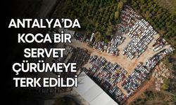 Antalya’da koca bir servet çürümeye terk edildi