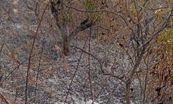 Bahçesini temizlemek için yaktığı ateş de can verdi