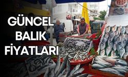Antalya’da balık zamanı! Güncel balık fiyatları
