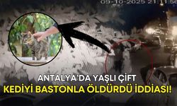 Antalya’da yaşlı çift, kediyi bastonla öldürdü iddiası!
