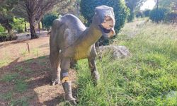 Adana'da milyonlarca liralık Dinazor Park çürümeye terk edildi