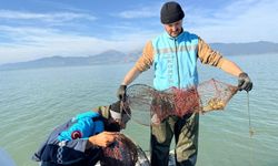 Eğirdir Gölü'nde kaçak kerevit avına geçit yok