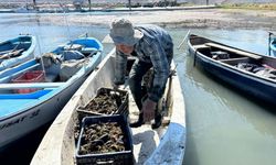 Eğirdir Gölü'nde kerevit avı 7 ay yasaklandı