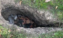 Isparta Eğirdir'de elma bahçesinde obruk paniği! Ev duvarlarında çatlaklar oluştu