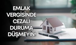 Emlak vergisinde cezalı duruma düşmeyin!