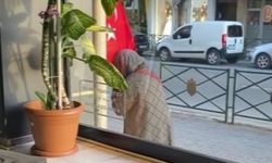 Eskişehir'de Türk bayrağına saygı gösterisi kamerada!