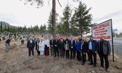 Ferdi Zeyrek anısına Burdur'da 80 zeytin fidanı