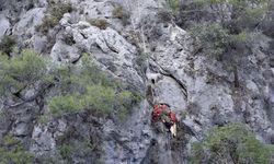 AKUT'tan Fethiye’de keçi operasyonu