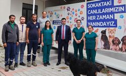 Gazipaşa Belediyesi’nden sokaktaki can dostlar için yeni proje