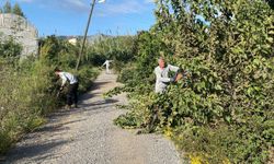 Gazipaşa’da bakımsız park ve sokak kalmayacak!