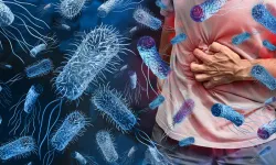 Gıda zehirleme vakaları artıyor: Dünyada her yıl en az 420 bin kişi hayatını kaybediyor