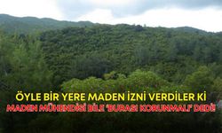 Öyle bir yere maden izni verdiler ki, Maden Mühendisi bile ‘burası korunmalı’ dedi!
