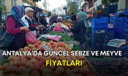 Antalya’da güncel sebze ve meyve fiyatları