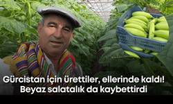 Gürcistan için ürettiler, ellerinde kaldı! Beyaz salatalık da kaybettirdi