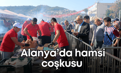 Alanya’da hamsi coşkusu