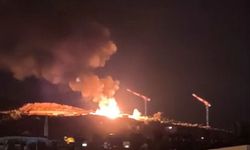 Alanya’da kamyonet alevlere teslim oldu