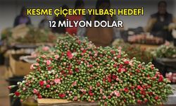 Kesme çiçekte yılbaşı hedefi 12 milyon dolar