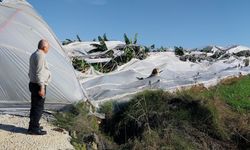 Manavgat'ta hortum felaketi: 4 serada hasar! Zarar 10 milyon TL'yi aştı