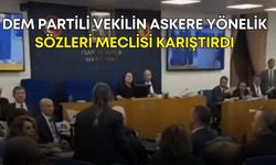 DEM Partili vekilin askere yönelik sözleri meclisi karıştırdı! Tartışmalara Cavit Arı da katıldı