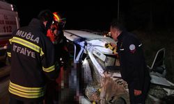 Muğla Menteşe'de alkollü sürücü direğe çarptı: Anne ve kızı yaralandı