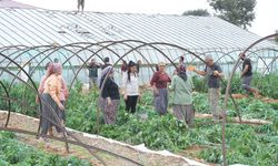 Mersin Bozyazı'da hortum seraları yerle bir etti