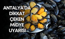 İstanbul’da bir aile yok oldu! Antalya’da dikkat çeken midye uyarısı