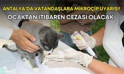 Antalya’da vatandaşlara mikroçip uyarısı! Ocaktan itibaren cezası olacak