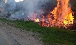 Milas'ta iki ayrı orman yangını korkuttu: Hızlı müdahale felaketi önledi