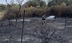 Muğla'daki bağ yangını kontrol altında