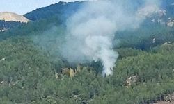 Muğla Kavaklıdere'de orman yangını: Ekipler alevlerle mücadele ediyor