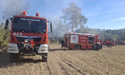 Muğla'da 2 ayrı yangın korkuttu