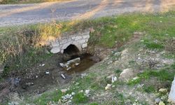 Çanakkale’de boş bir arazide yeni doğmuş bebek cesedi bulundu