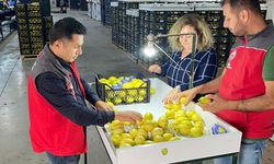 Muğla’dan ihraç edilecek tarım ürünleri karantina kontrolünden başarıyla geçti