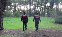 Sorgun ormanlarında mangala sıkı denetim