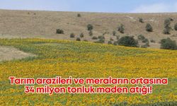 Tarım arazileri ve meraların ortasına 34 milyon tonluk maden atığı!