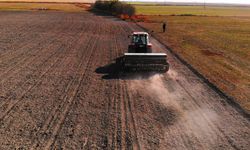 Hububat ambarı Konya Ovası'nda çiftçiler diken üstünde