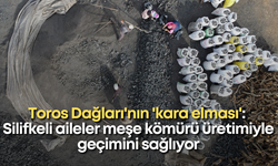 Toros Dağları'nın 'kara elması': Silifkeli aileler meşe kömürü üretimiyle geçimini sağlıyor
