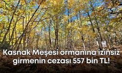 Kasnak Meşesi ormanına izinsiz girmenin cezası 557 bin TL!