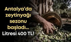 Antalya’da zeytinyağı sezonu başladı: Litresi 400 TL!