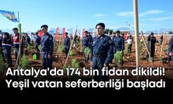 Antalya'da 174 bin fidan dikildi! Yeşil vatan seferberliği başladı