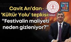 Cavit Arı’dan ‘Kültür Yolu’ tepkisi: “Festivalin maliyeti neden gizleniyor?”