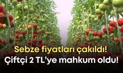 Antalya’da sebze fiyatları çakıldı! Çiftçi 2 TL’ye mahkum oldu!