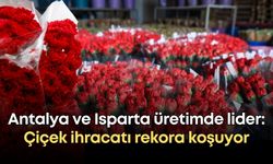 Antalya ve Isparta üretimde lider: Çiçek ihracatı rekora koşuyor