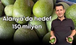 Türkiye'nin avokado üssü Alanya’da hedef 150 milyon rekolte