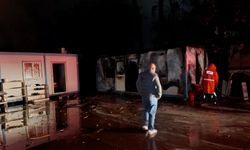 Antalya'da palmiye ağaçlarına yıldırım düştü, yangın çıktı