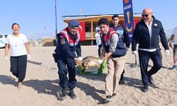 Yaralı halde bulunan caretta Zühal, yeniden denizle buluştu