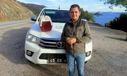 Yasadışı kınalı keklik satışına büyük ceza: 28 bin TL!