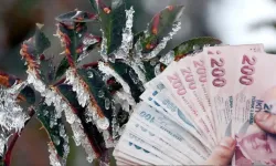 Antalyalı çiftçiye zirai don desteği