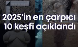 2025'in en çarpıcı 10 keşfi açıklandı